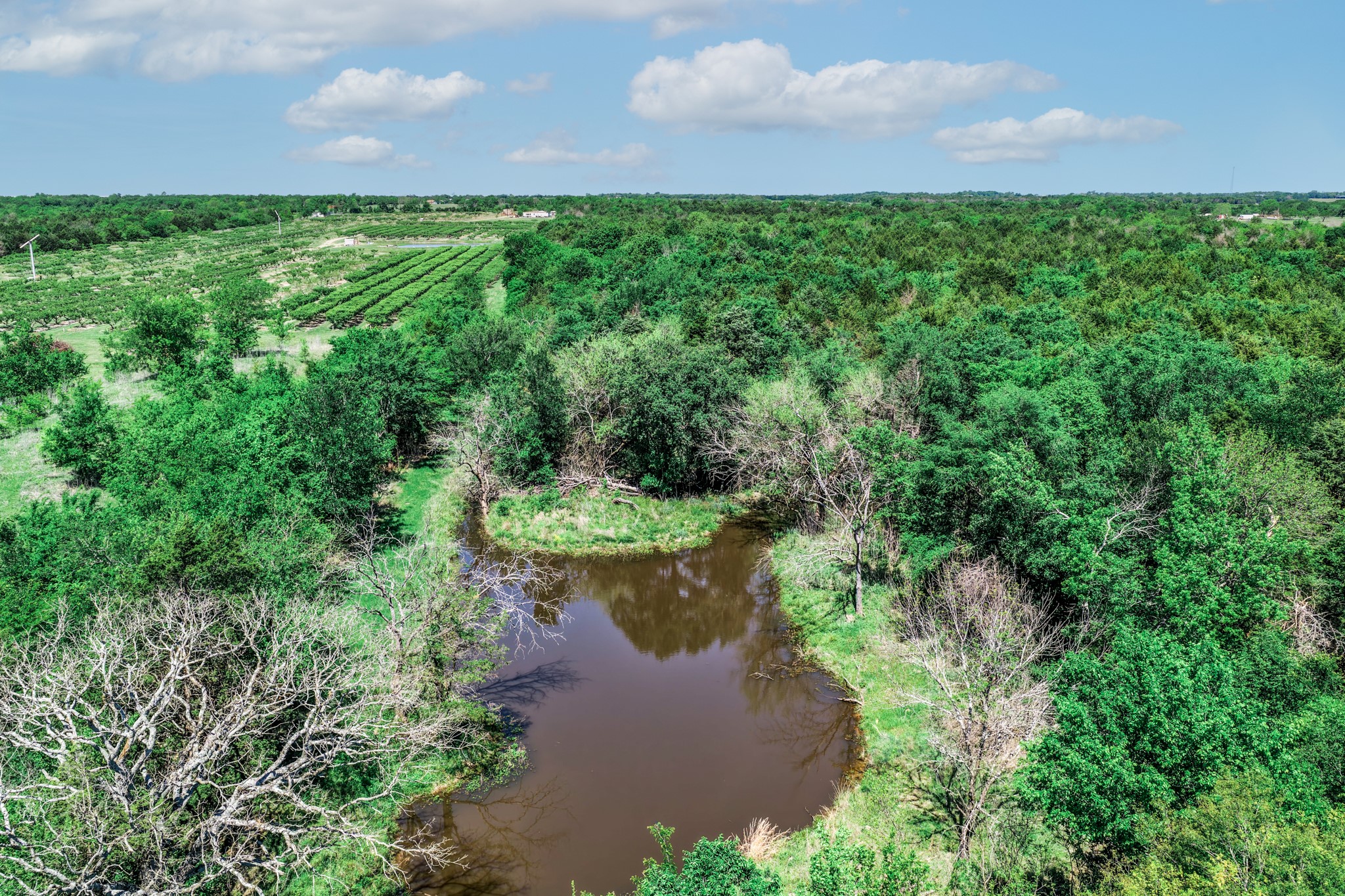 0000 County Road 308 Terrell TX 75160