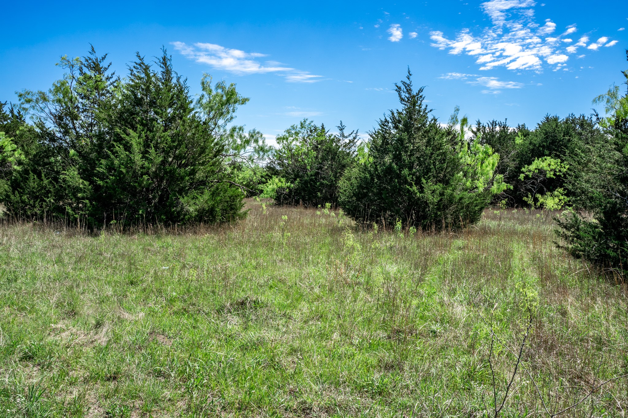 0000 County Road 308 Terrell TX 75160