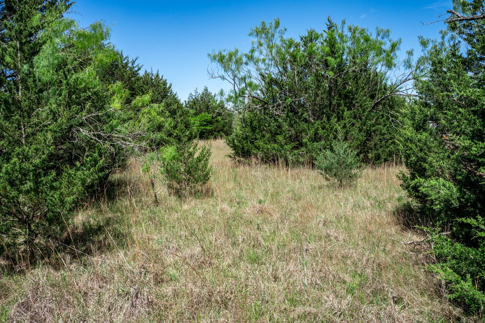 0000 County Road 308 Terrell TX 75160