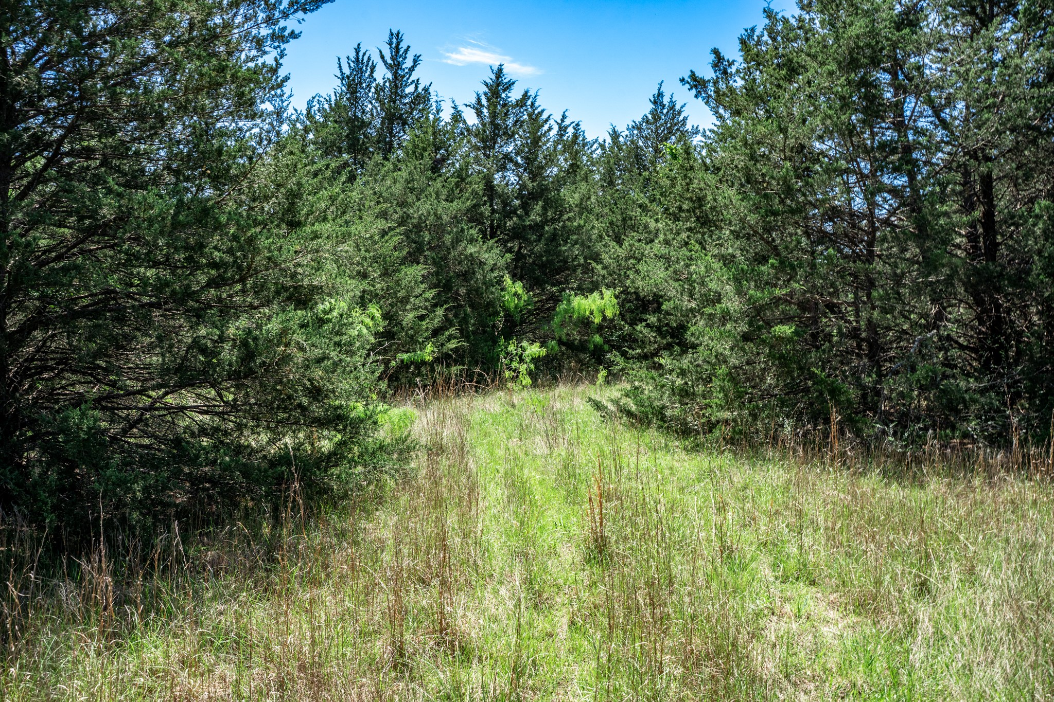 0000 County Road 308 Terrell TX 75160
