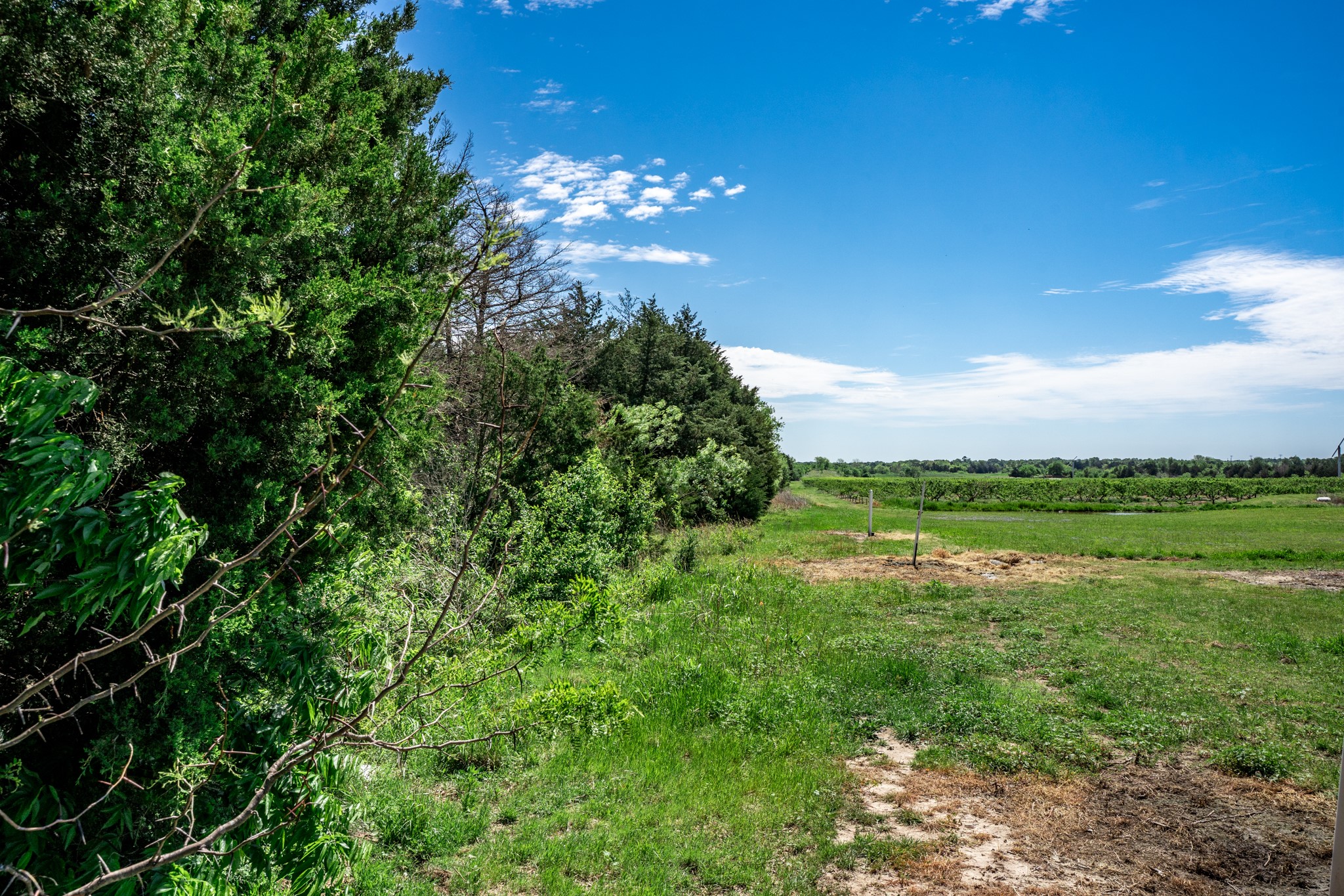 0000 County Road 308 Terrell TX 75160