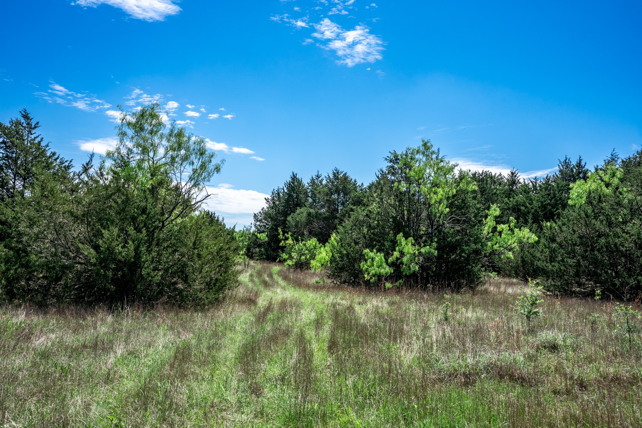 0000 County Road 308 Terrell TX 75160