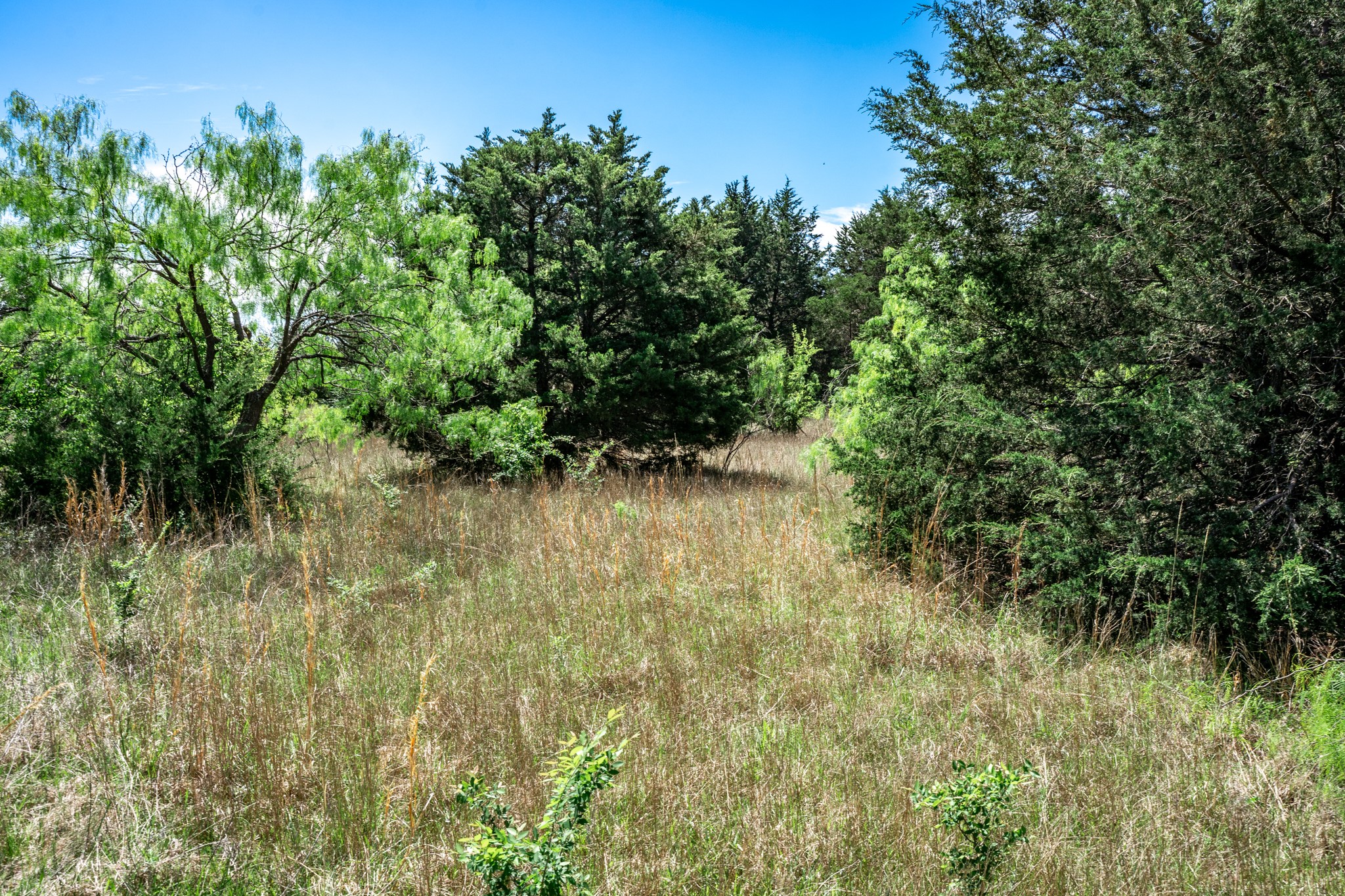 0000 County Road 308 Terrell TX 75160