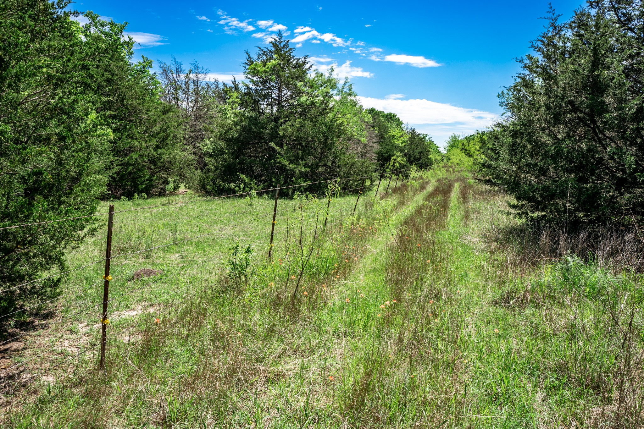 0000 County Road 308 Terrell TX 75160