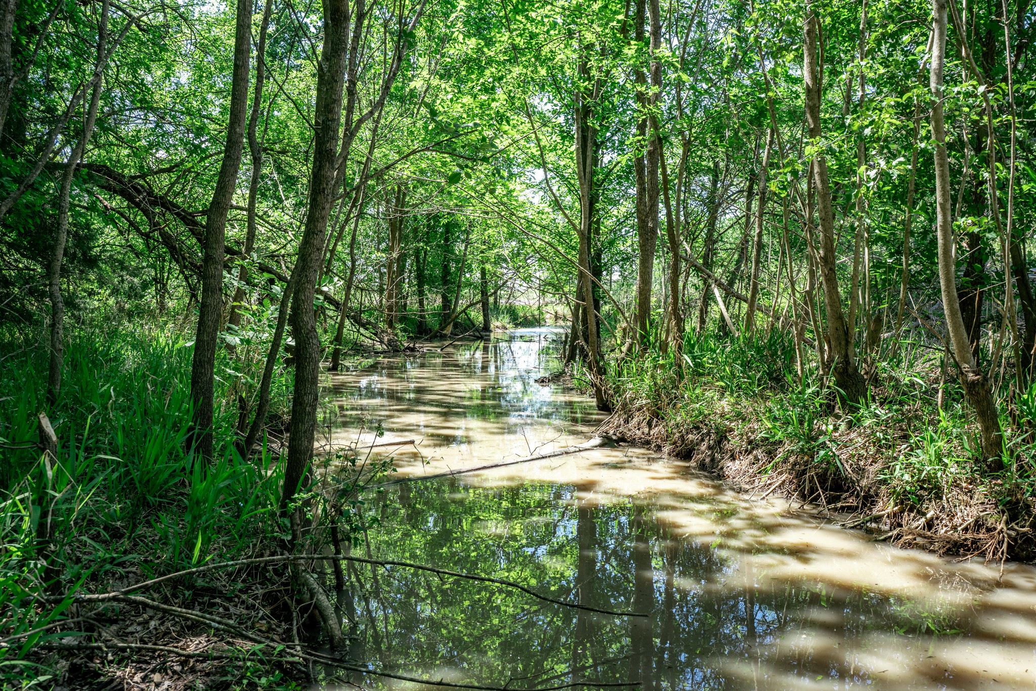 0000 County Road 308 Terrell TX 75160