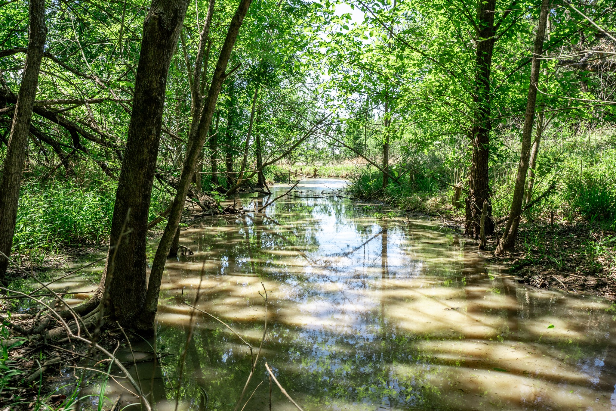 0000 County Road 308 Terrell TX 75160