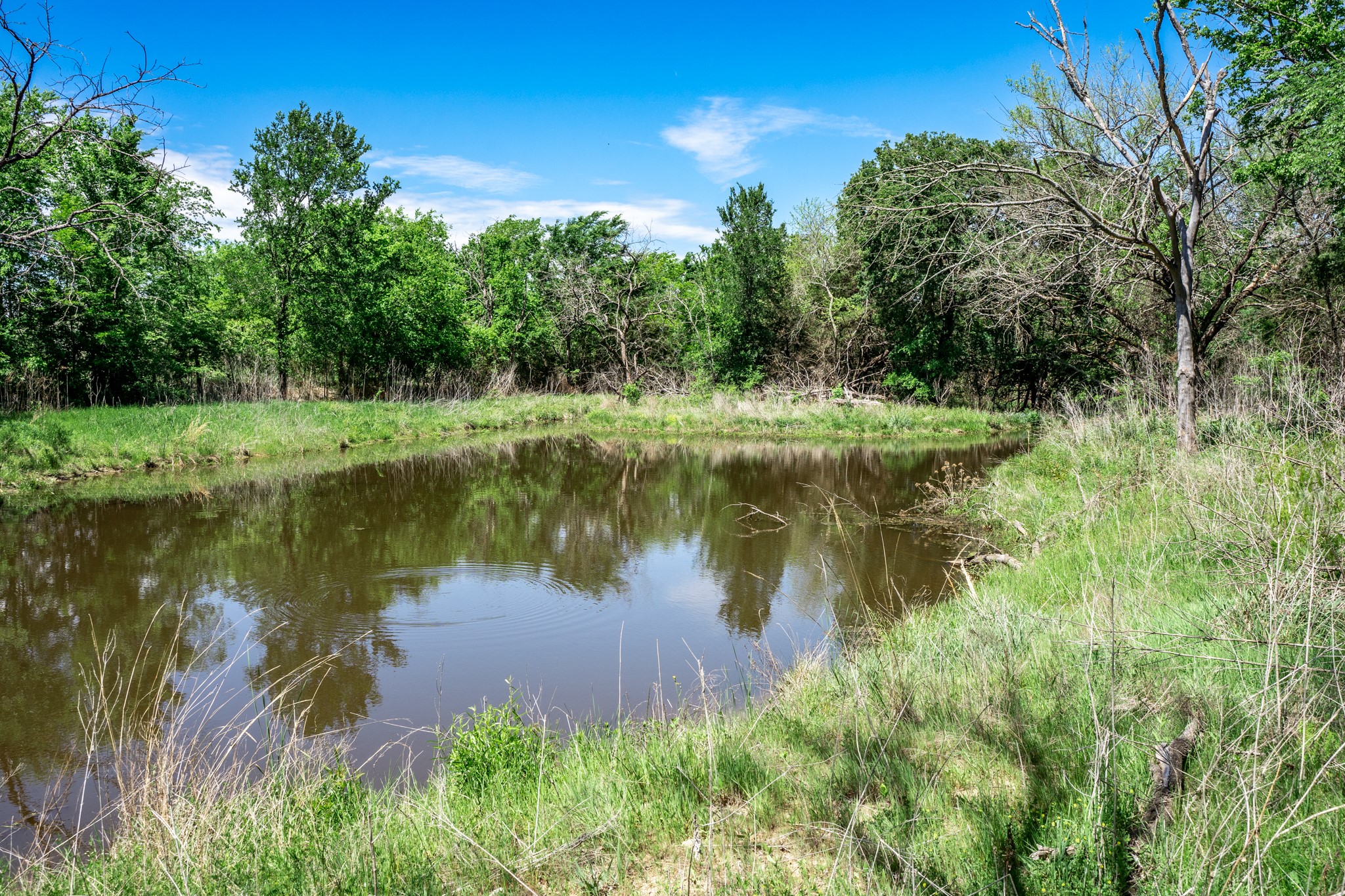 0000 County Road 308 Terrell TX 75160