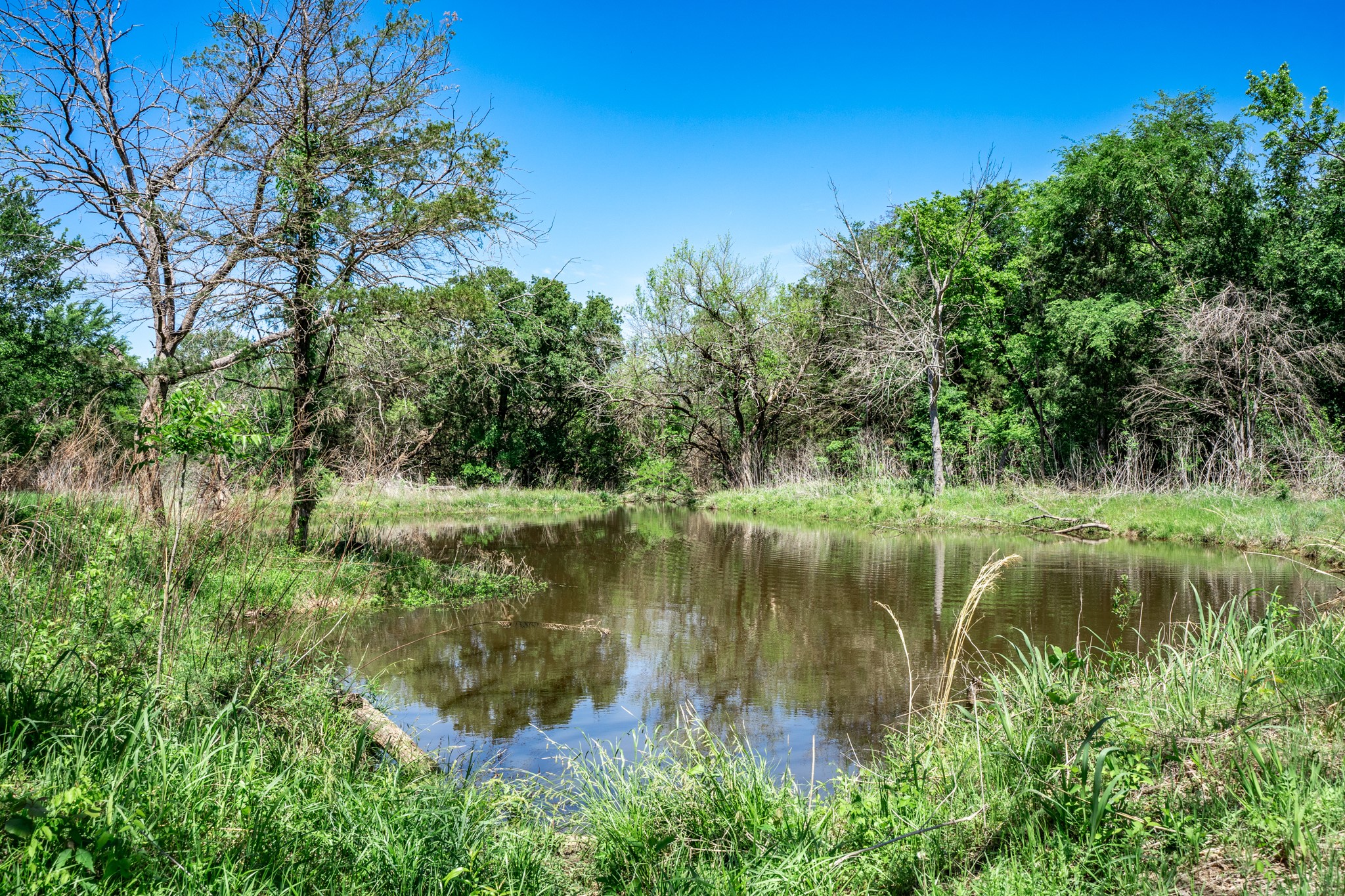0000 County Road 308 Terrell TX 75160