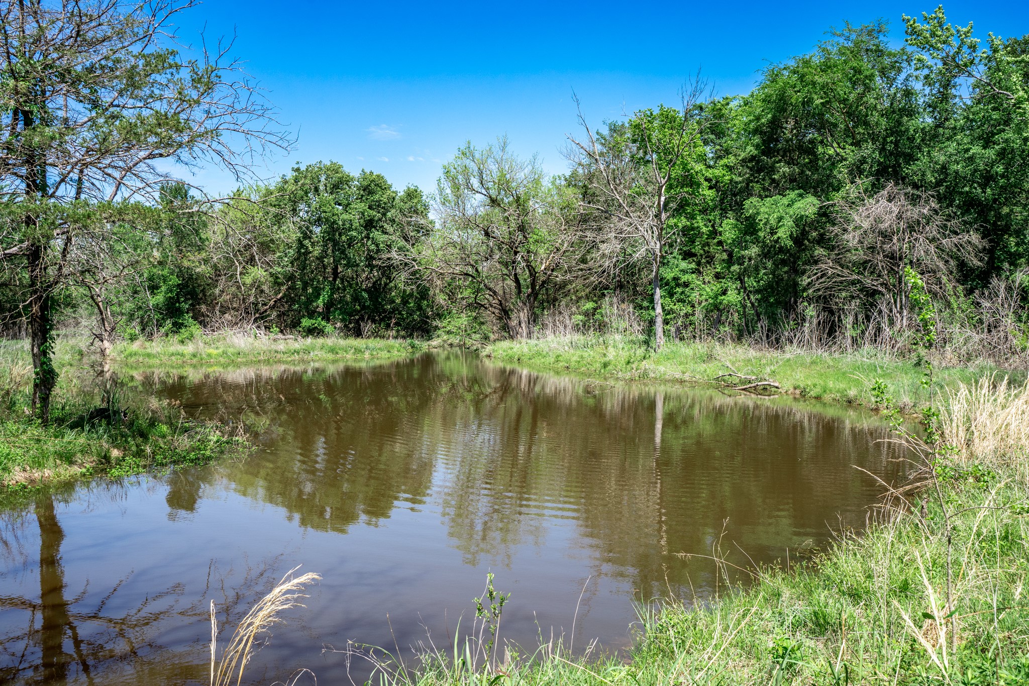 0000 County Road 308 Terrell TX 75160