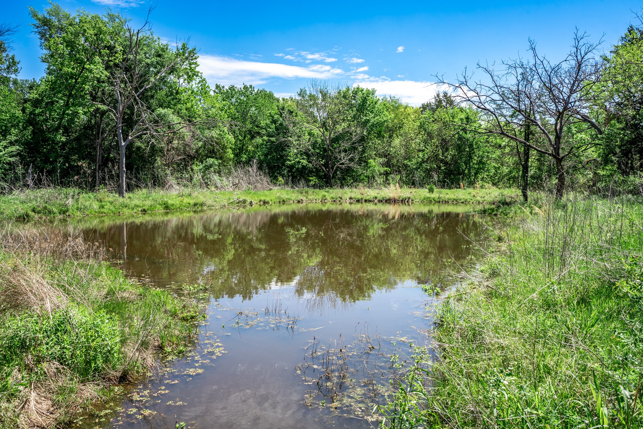 0000 County Road 308 Terrell TX 75160