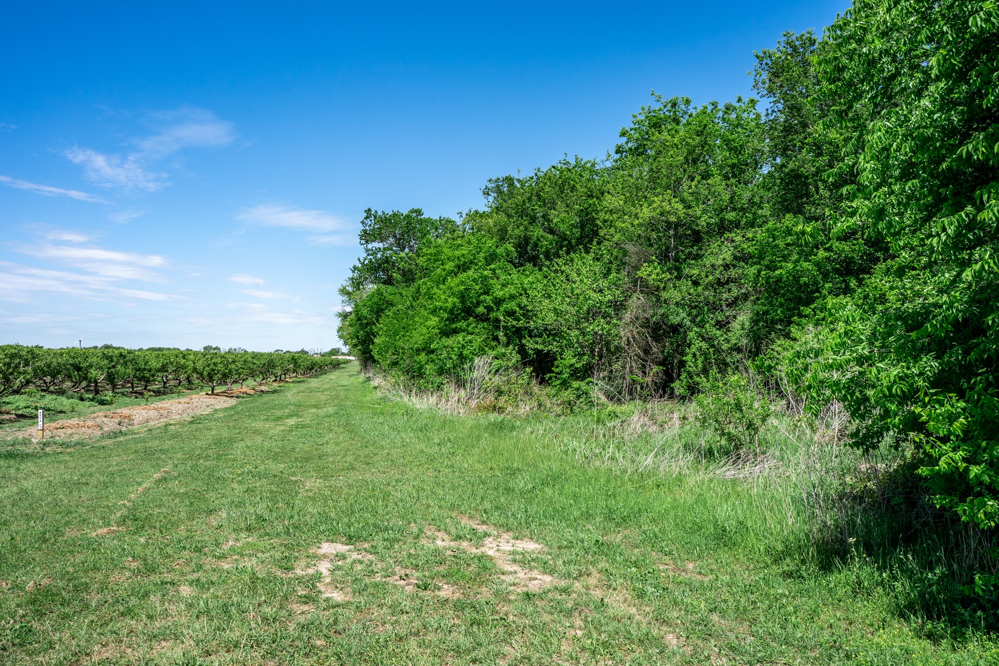 0000 County Road 308 Terrell TX 75160