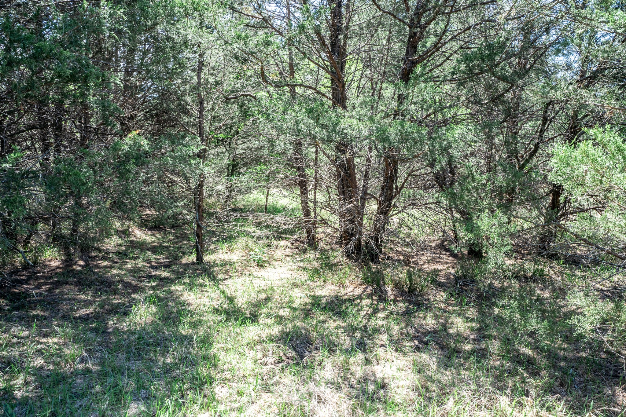 0000 County Road 308 Terrell TX 75160