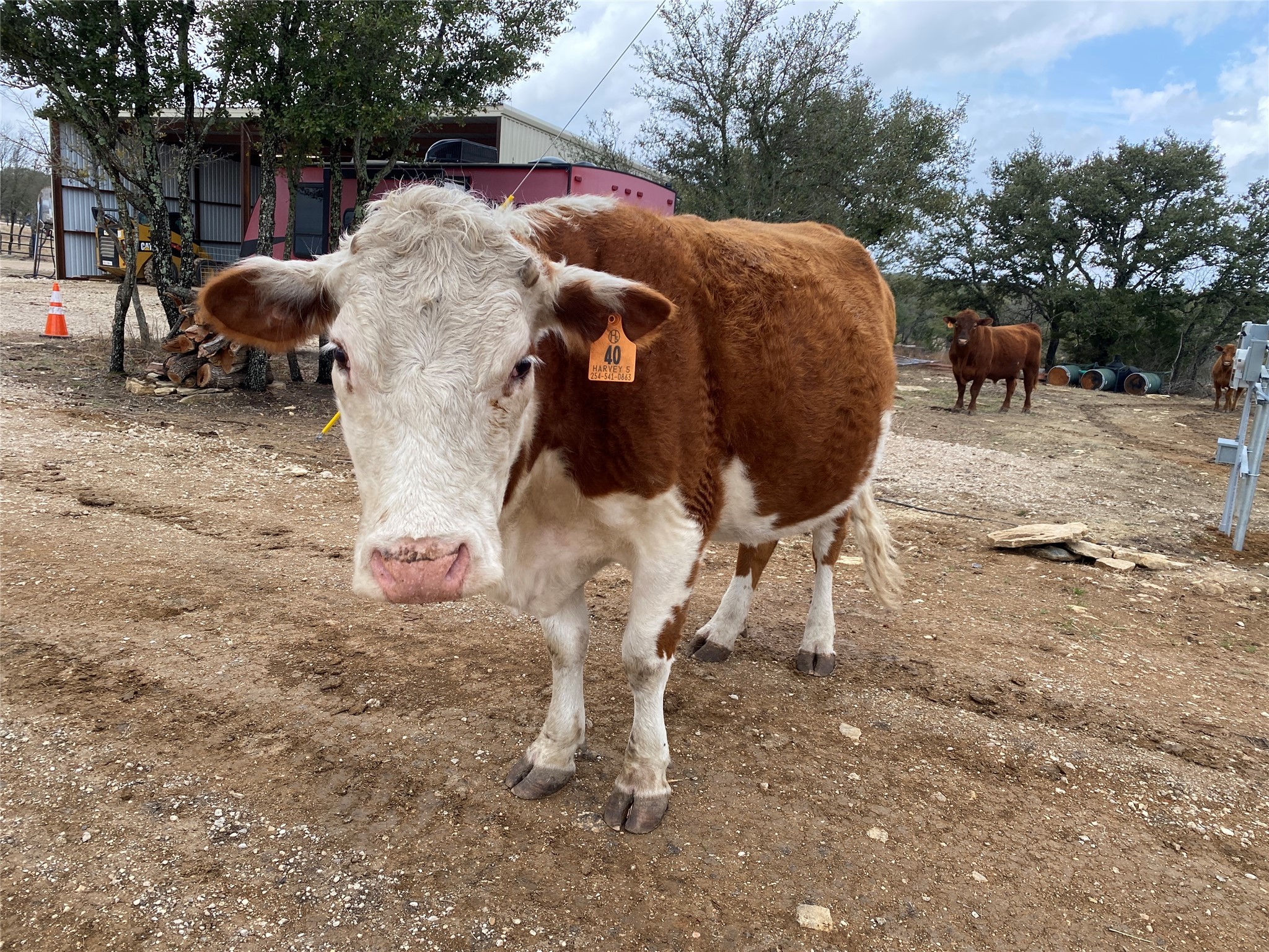 Tbd County Road 174 Gatesville TX 76528
