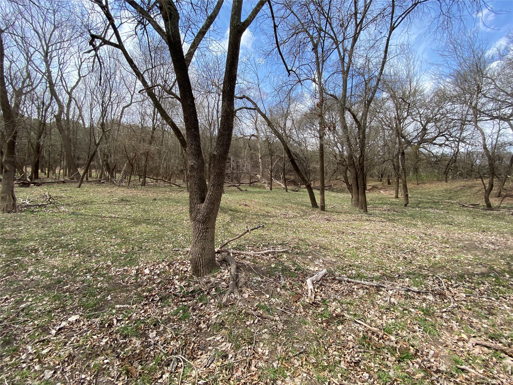 Tbd County Road 174 Gatesville TX 76528