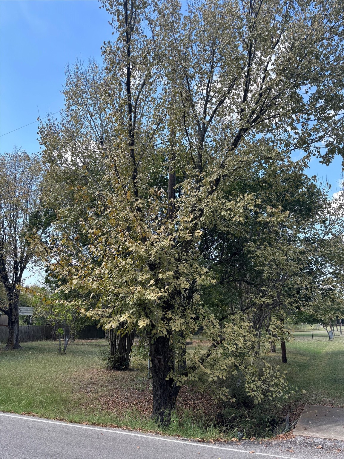 805 Ard Road Seagoville TX 75159