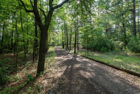 2001 Vz County Road 4903 Ben Wheeler TX 75754