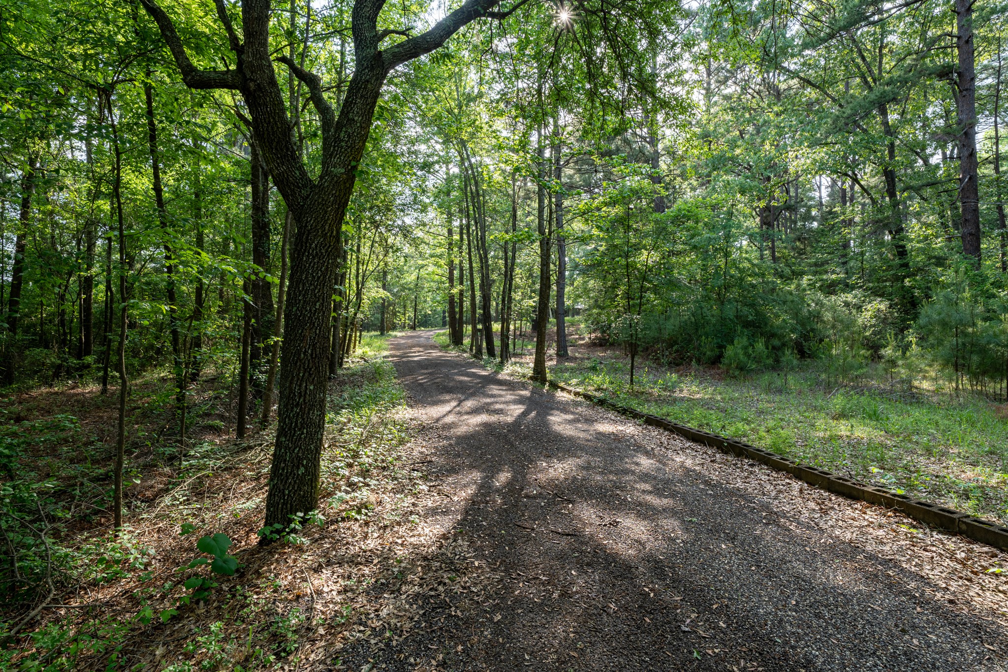 2001 Vz County Road 4903 Ben Wheeler TX 75754