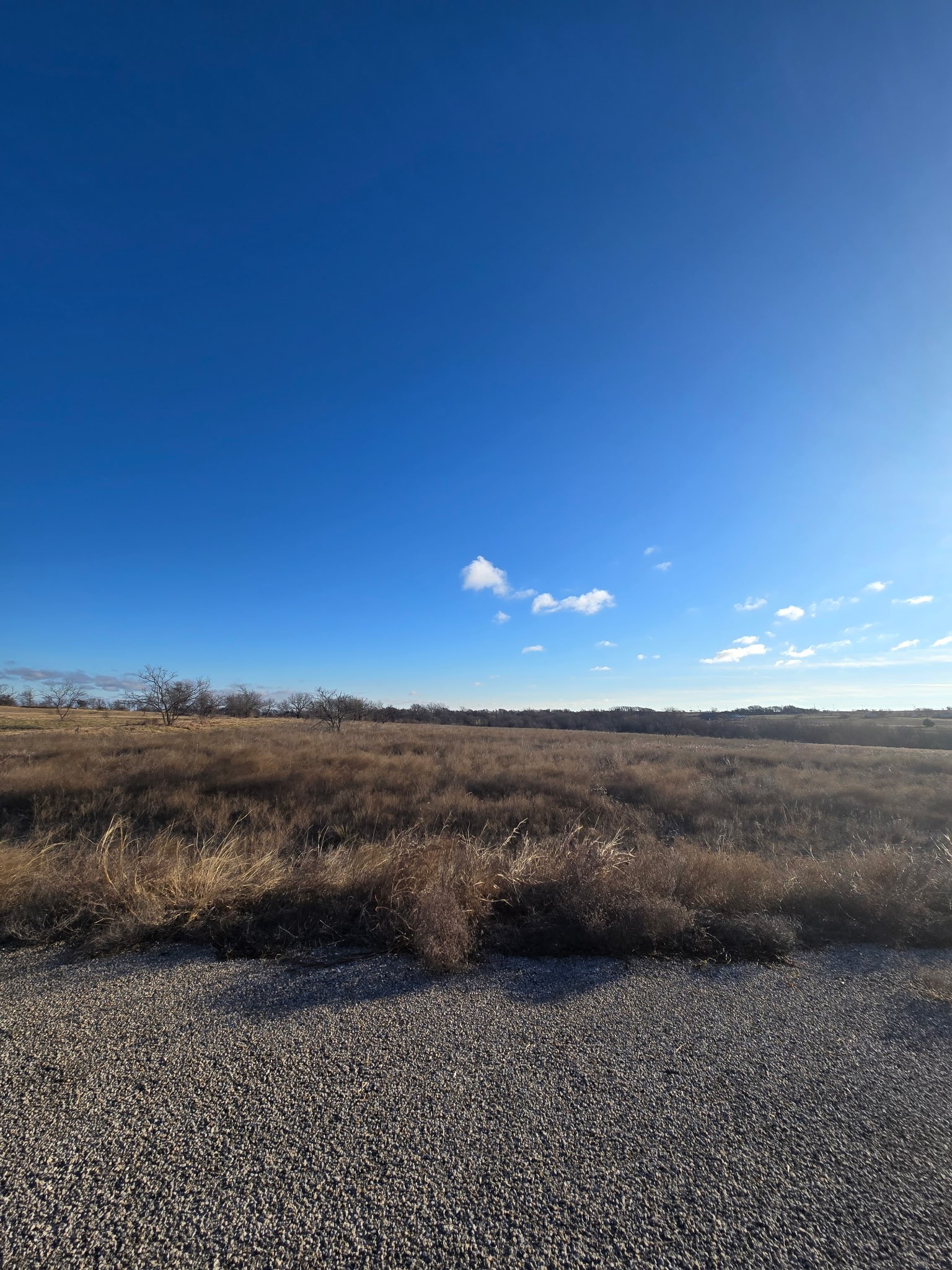 Tbd Lot 29 Longview Creek Trail Itasca TX 76055