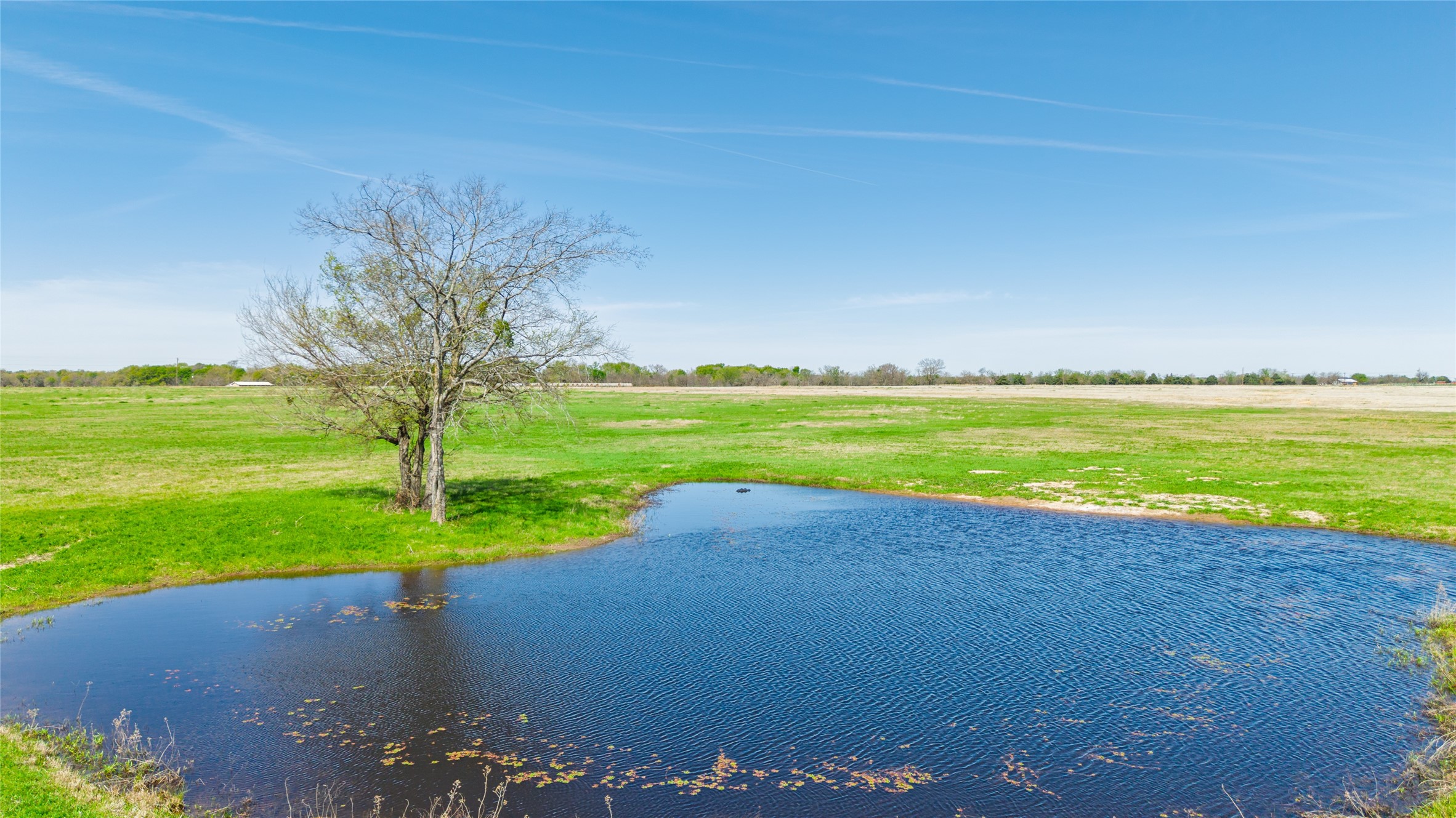 16 Acres Fm 2649 Lone Oak TX 75453