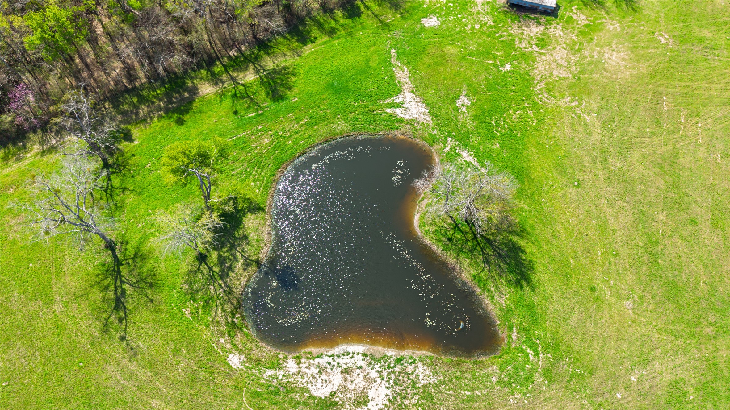 16 Acres Fm 2649 Lone Oak TX 75453
