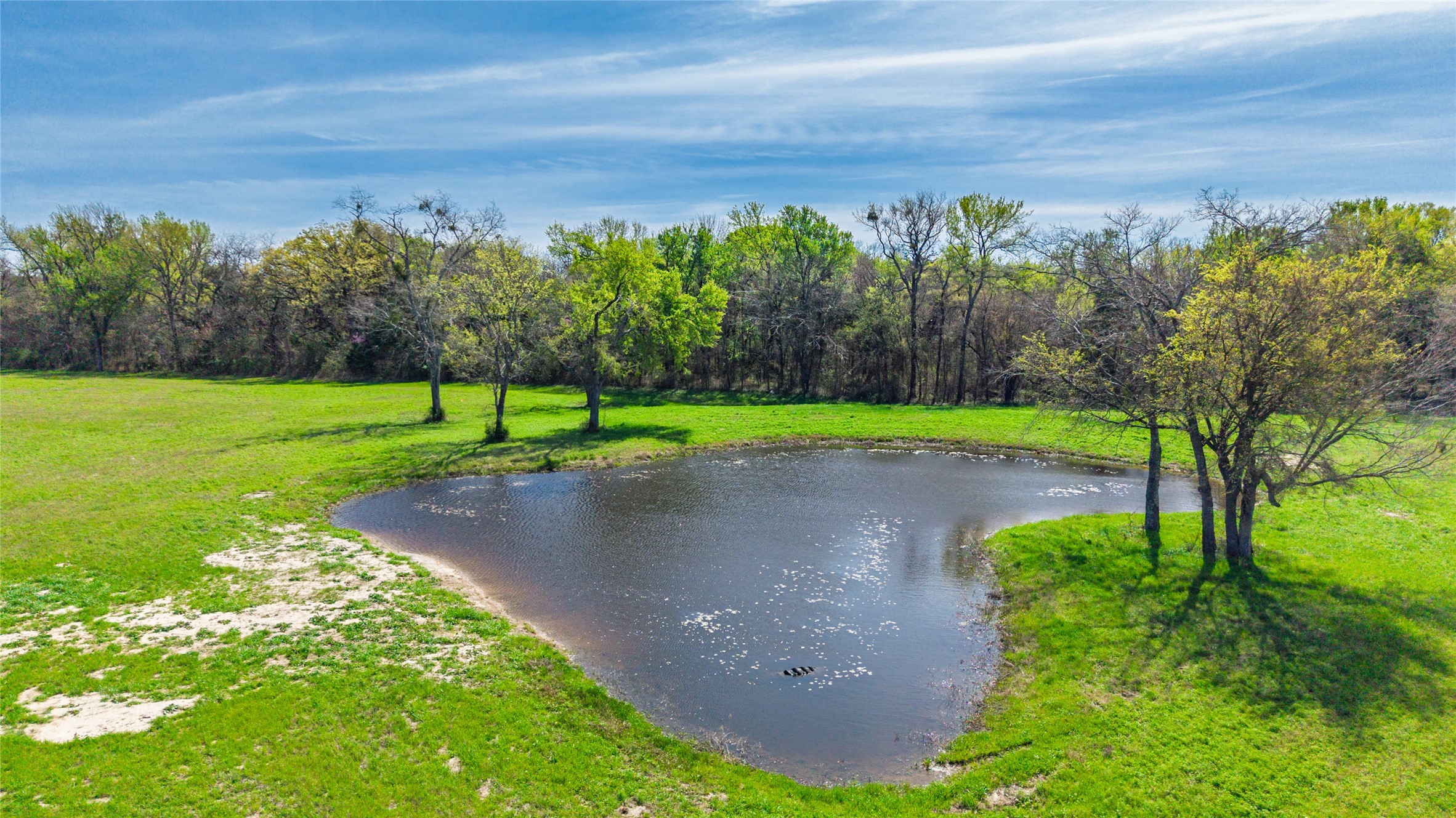 16 Acres Fm 2649 Lone Oak TX 75453