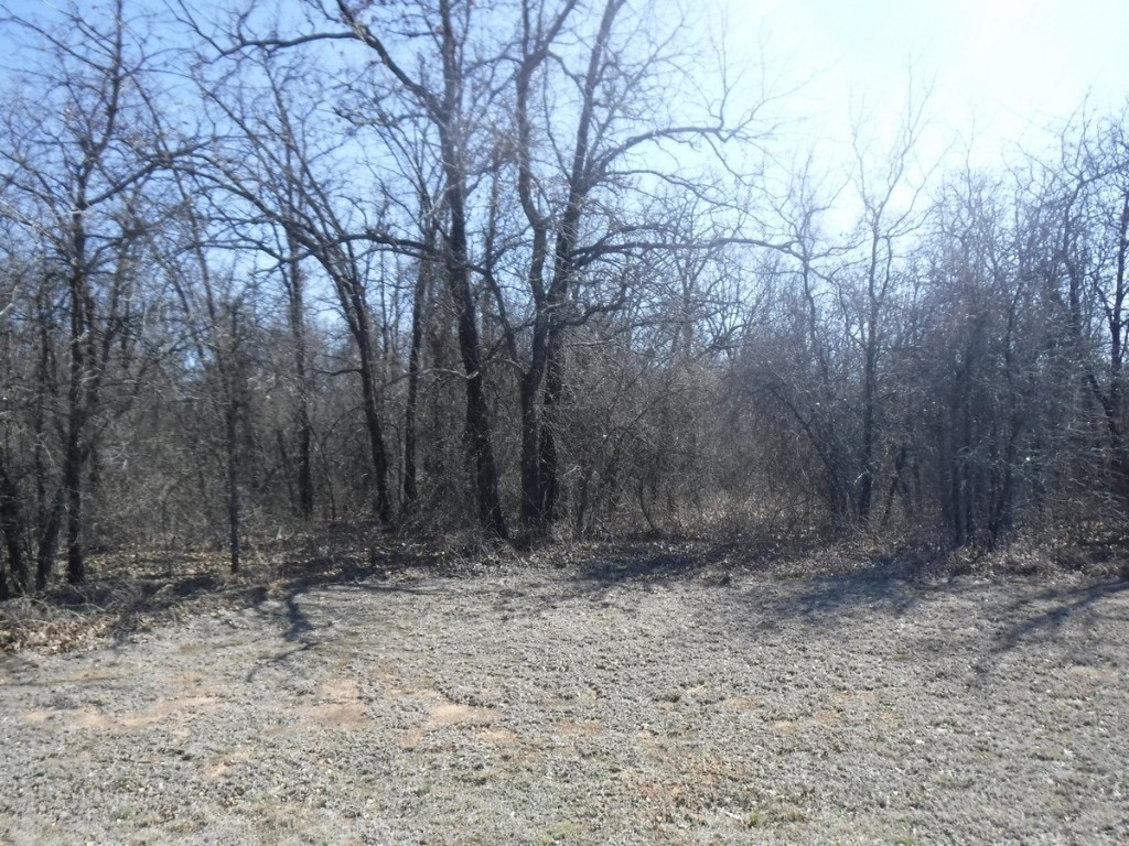 219 Spring Valley Road Paradise TX 76073