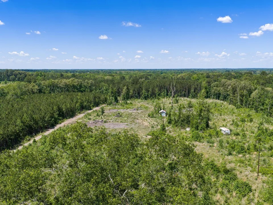 Tbd Mule Deer Road Gilmer TX 75644
