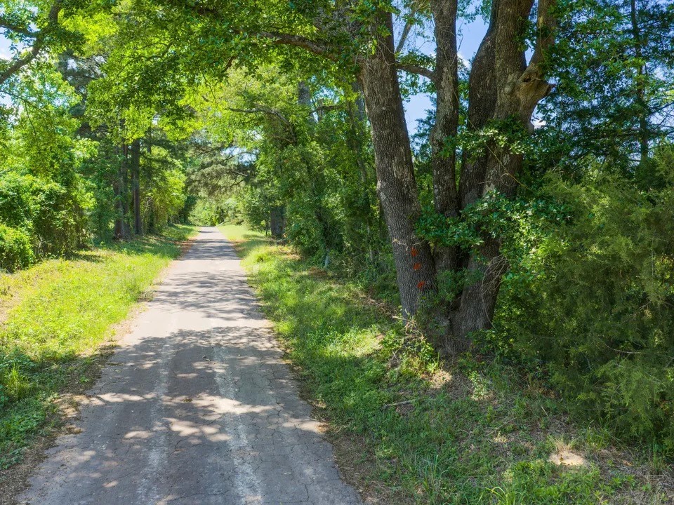 Tbd Mule Deer Road Gilmer TX 75644