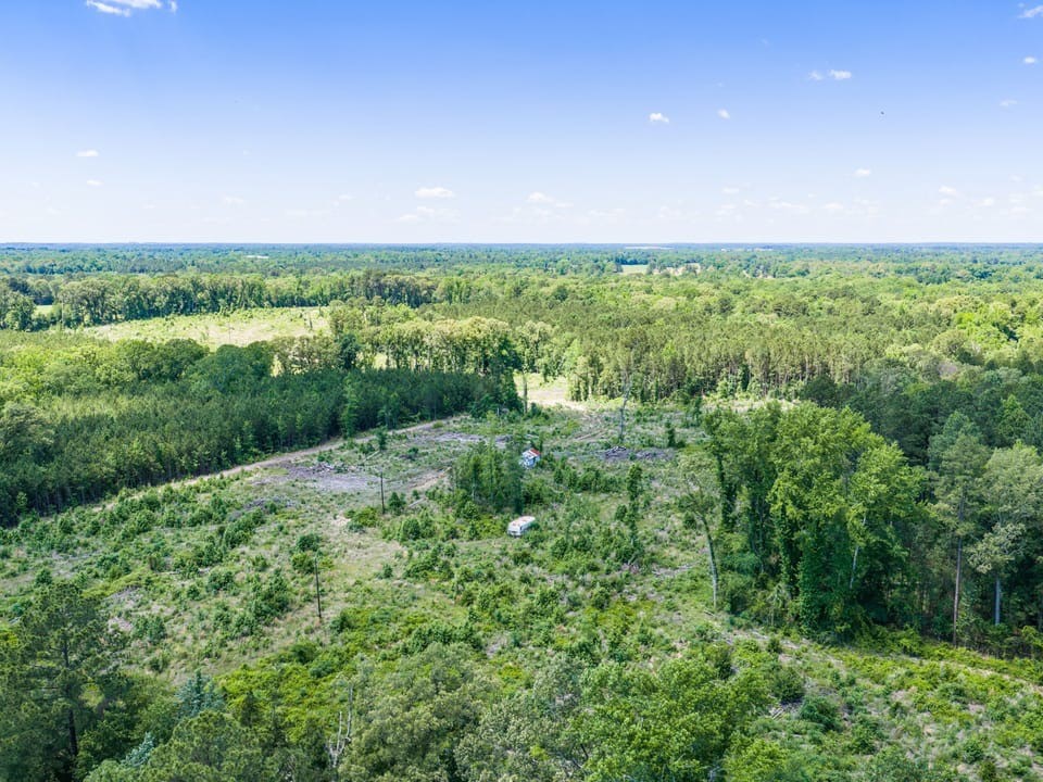 Tbd Mule Deer Road Gilmer TX 75644