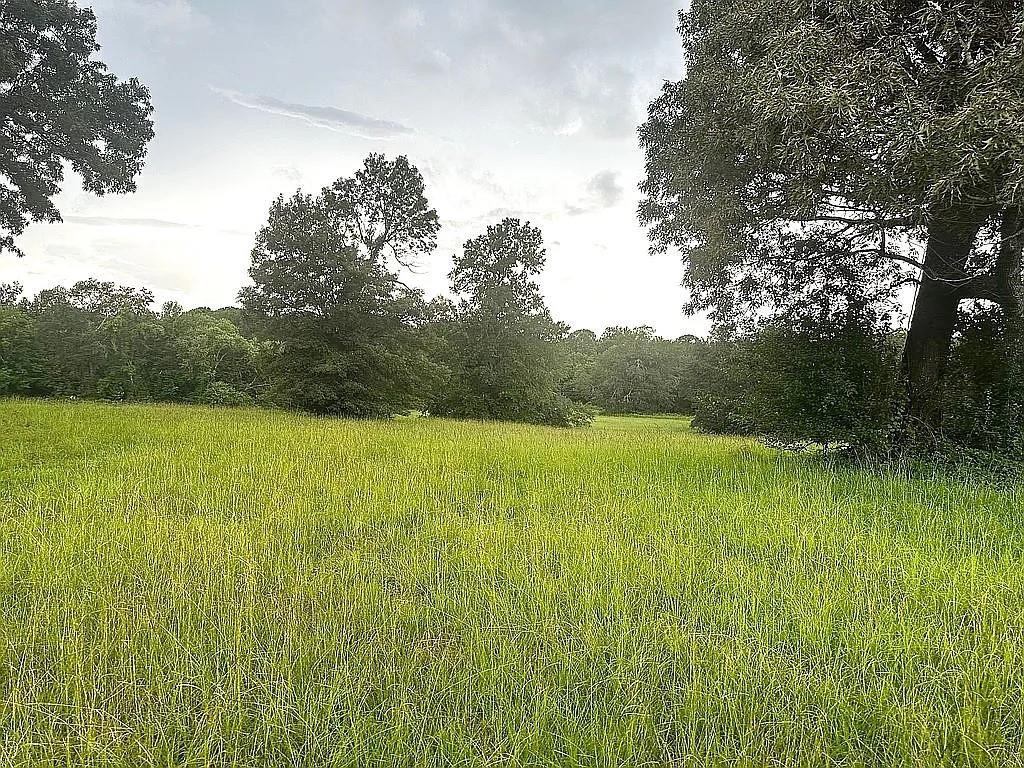 1840 County Road 1306 Rusk TX 75785