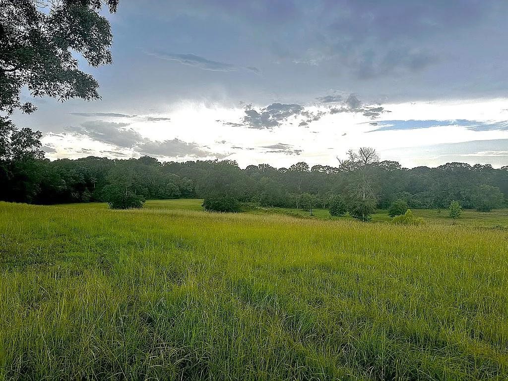 1840 County Road 1306 Rusk TX 75785