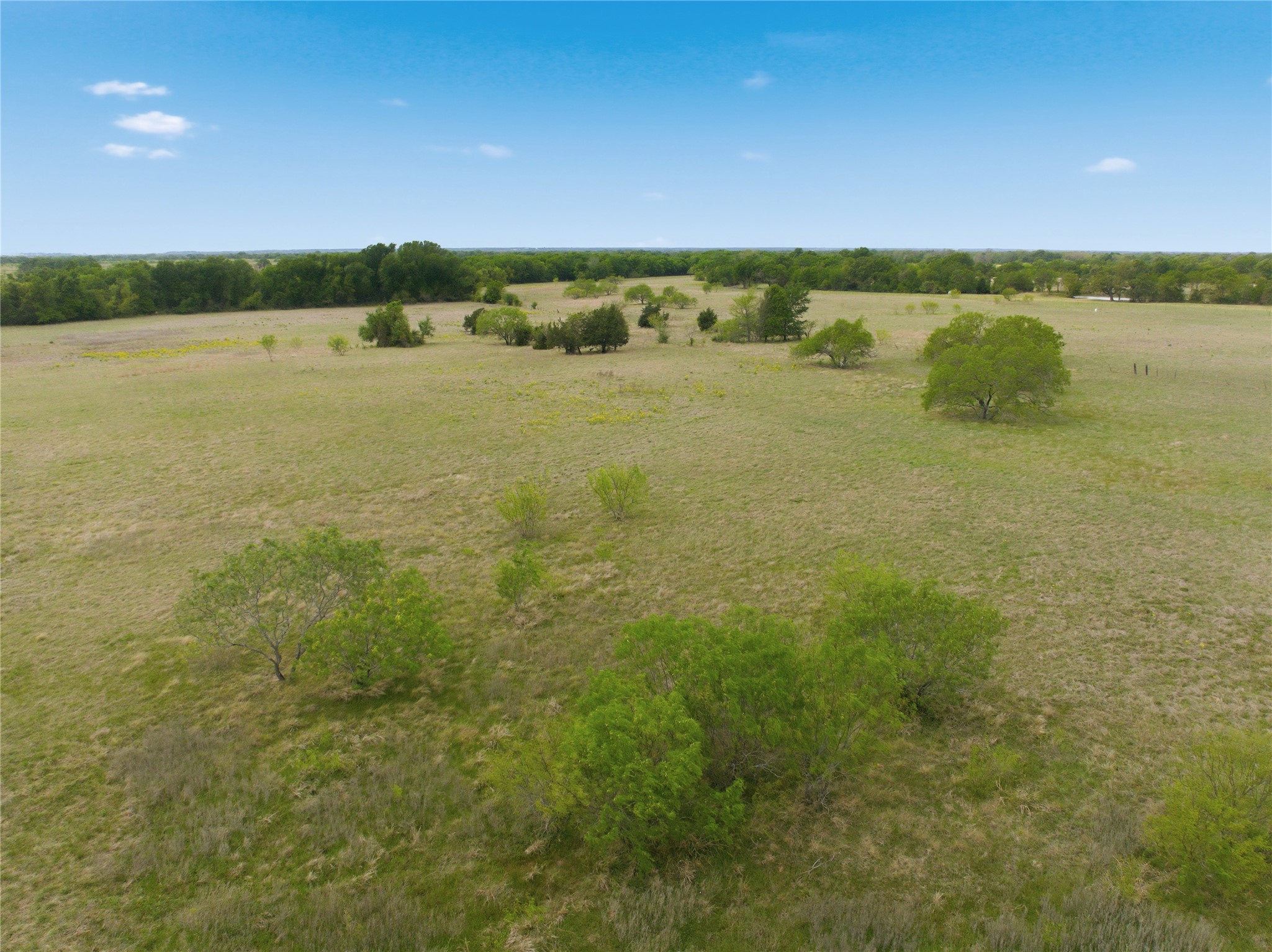 Tbd George Wachel Road Bremond TX 77806