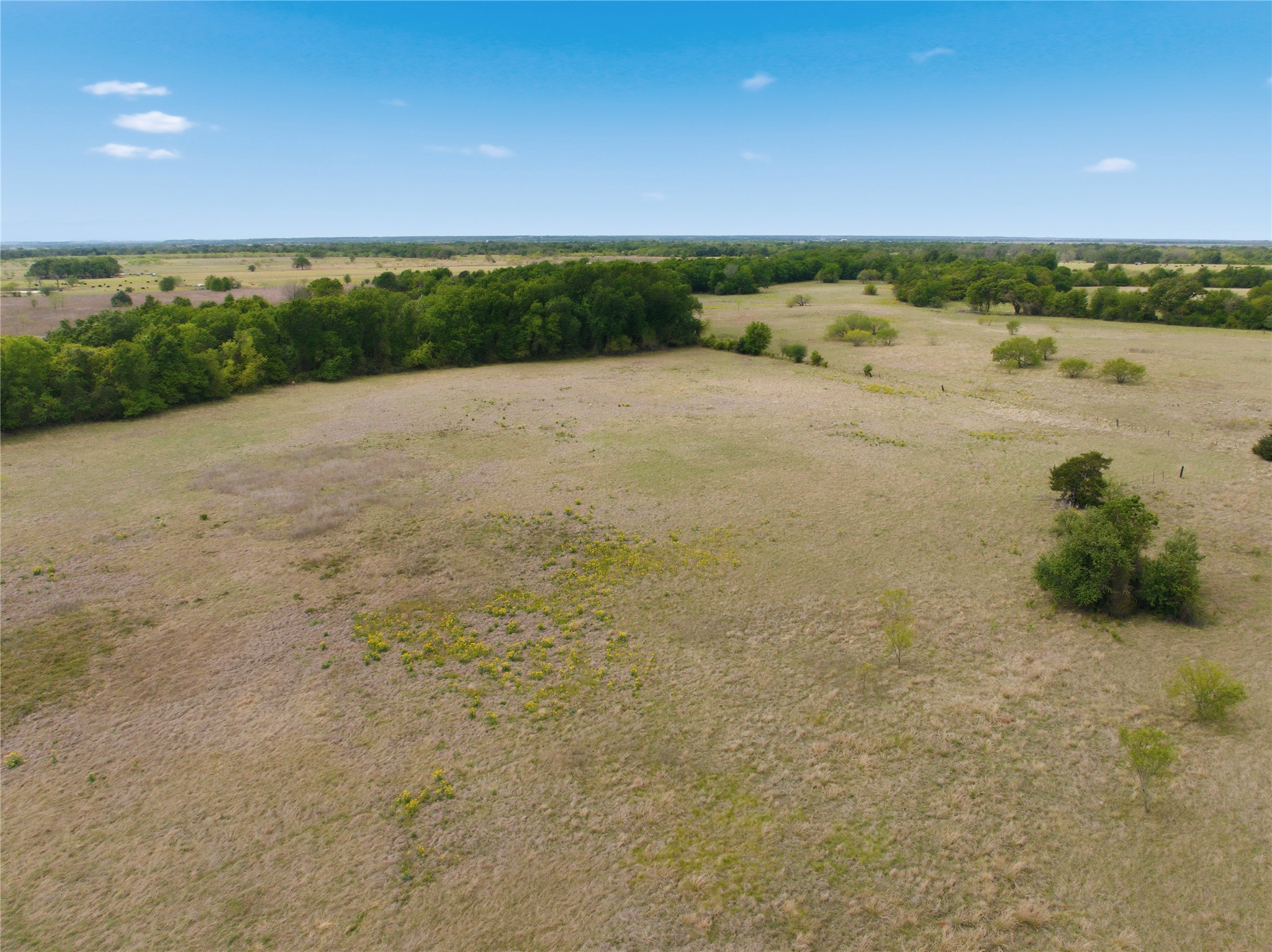 Tbd George Wachel Road Bremond TX 77806