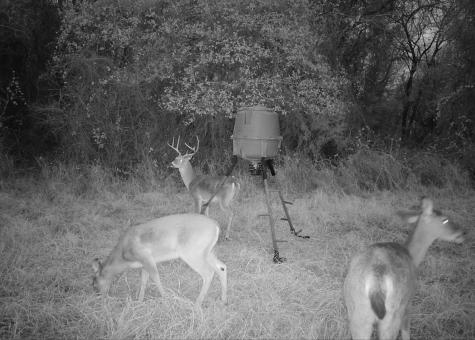 Tbd George Wachel Road Bremond TX 77806