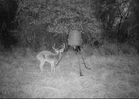 TBD George Wachel Road Bremond TX 77806