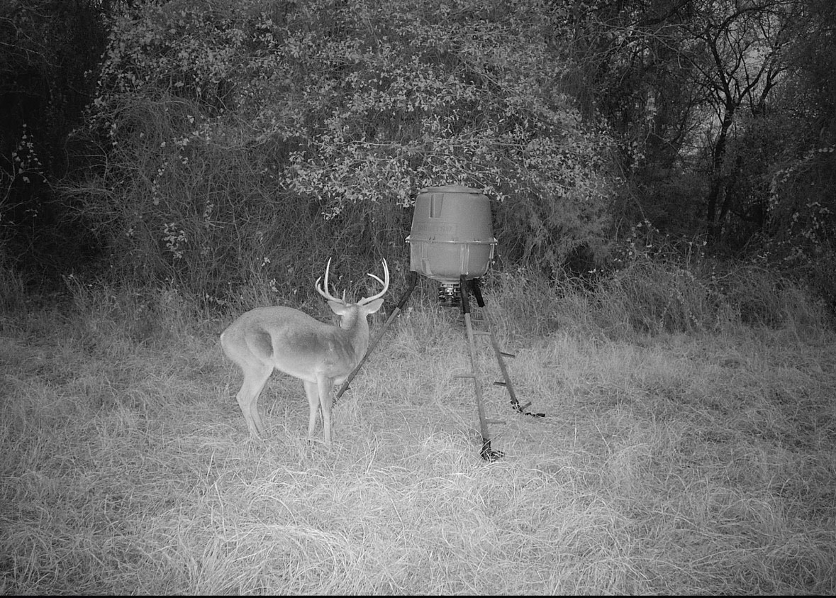 Tbd George Wachel Road Bremond TX 77806