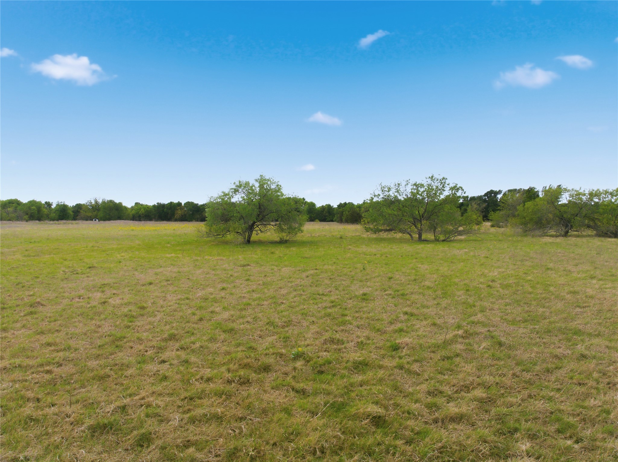 Tbd George Wachel Road Bremond TX 77806