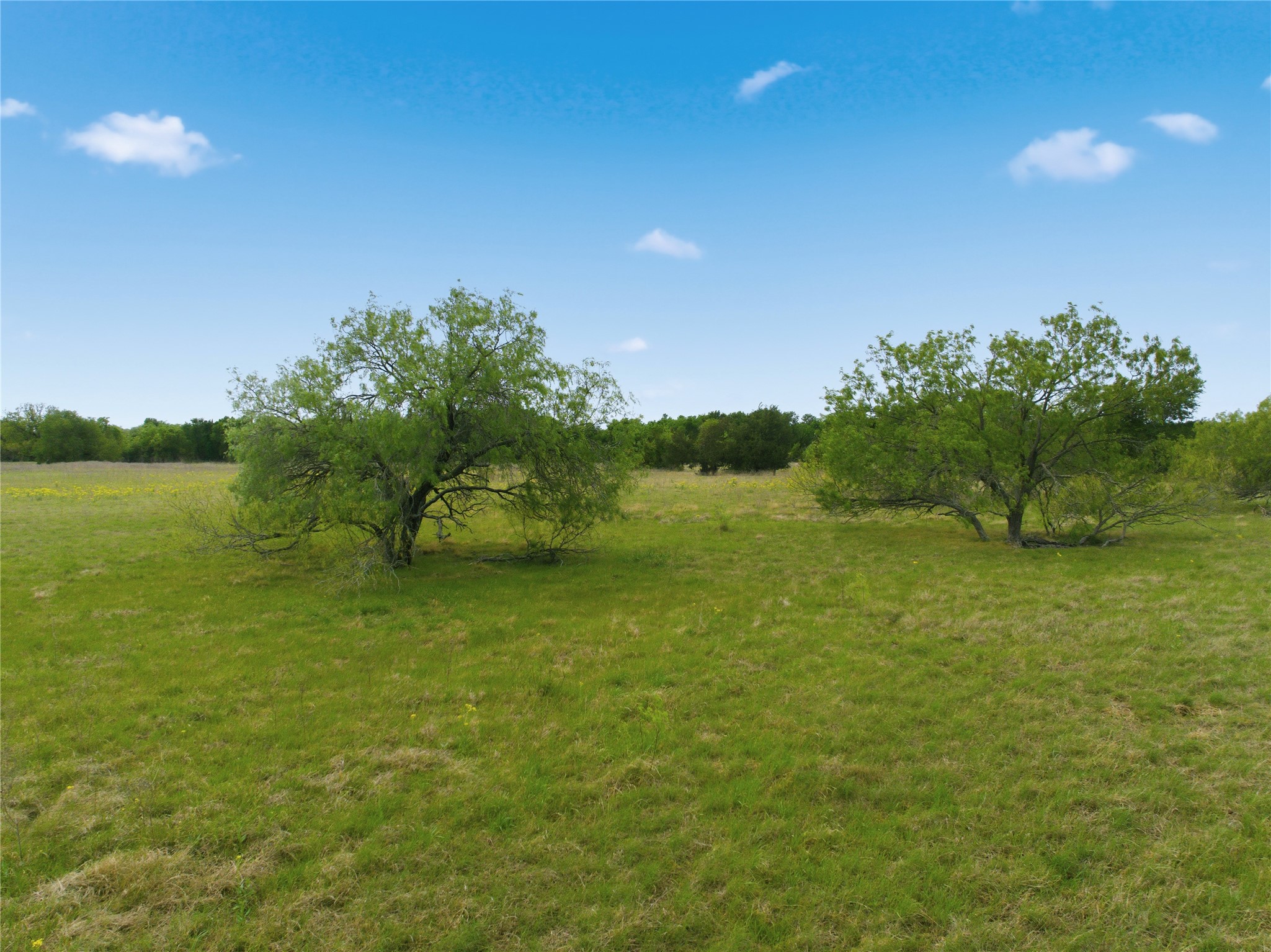 Tbd George Wachel Road Bremond TX 77806