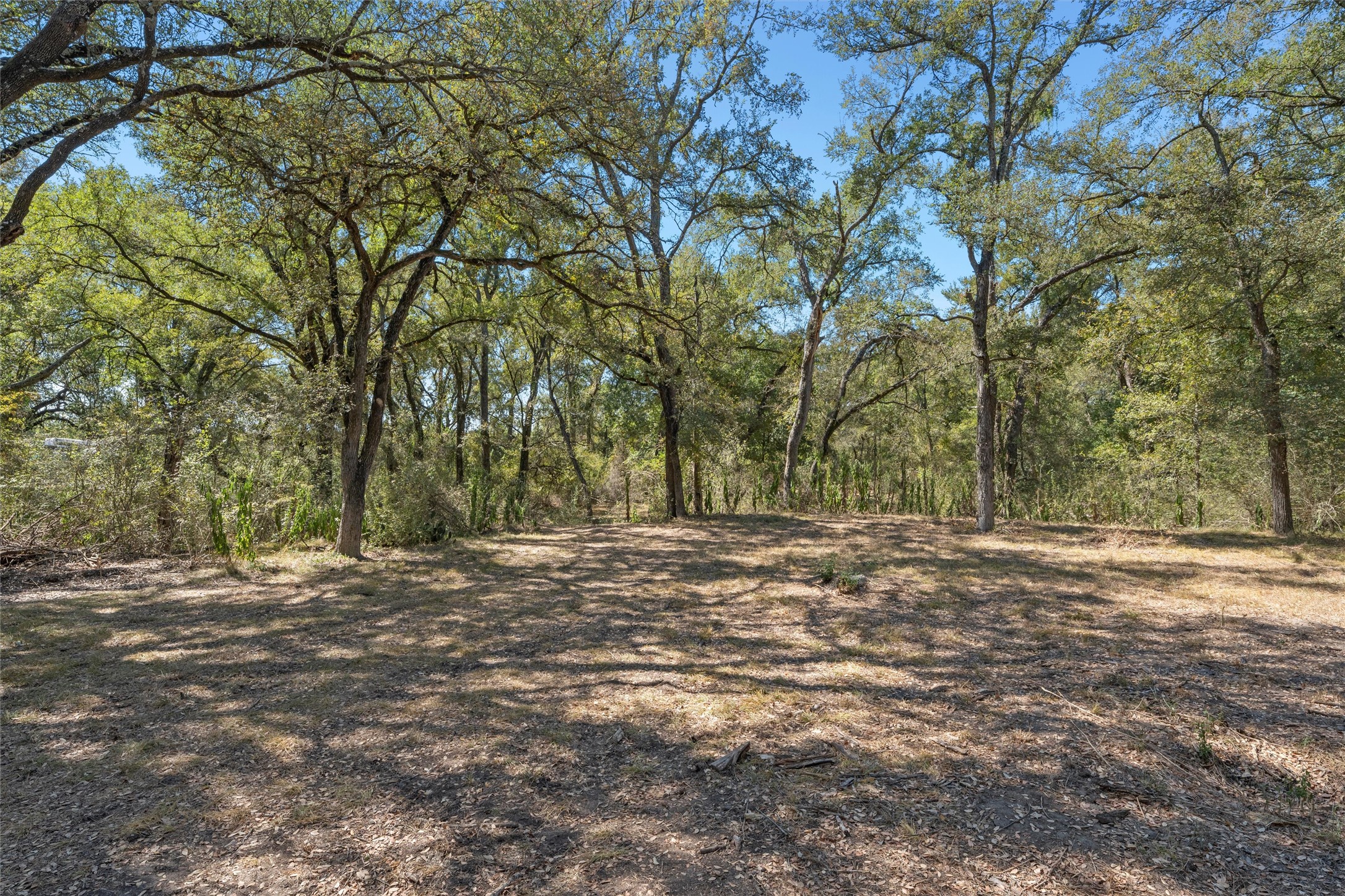 6.754 County Road 473 Lott TX 76656