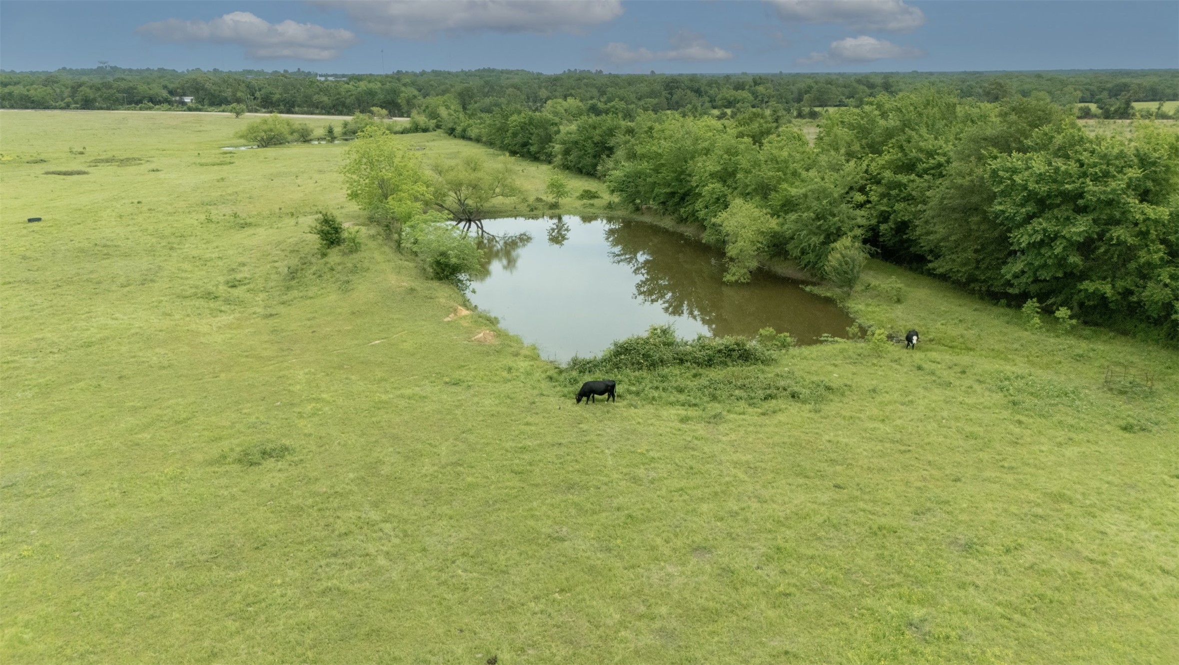 Tbd County Road 2307 Sulphur Springs TX 75482