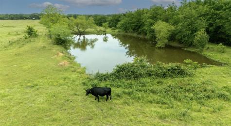 Tbd County Road 2307 Sulphur Springs TX 75482