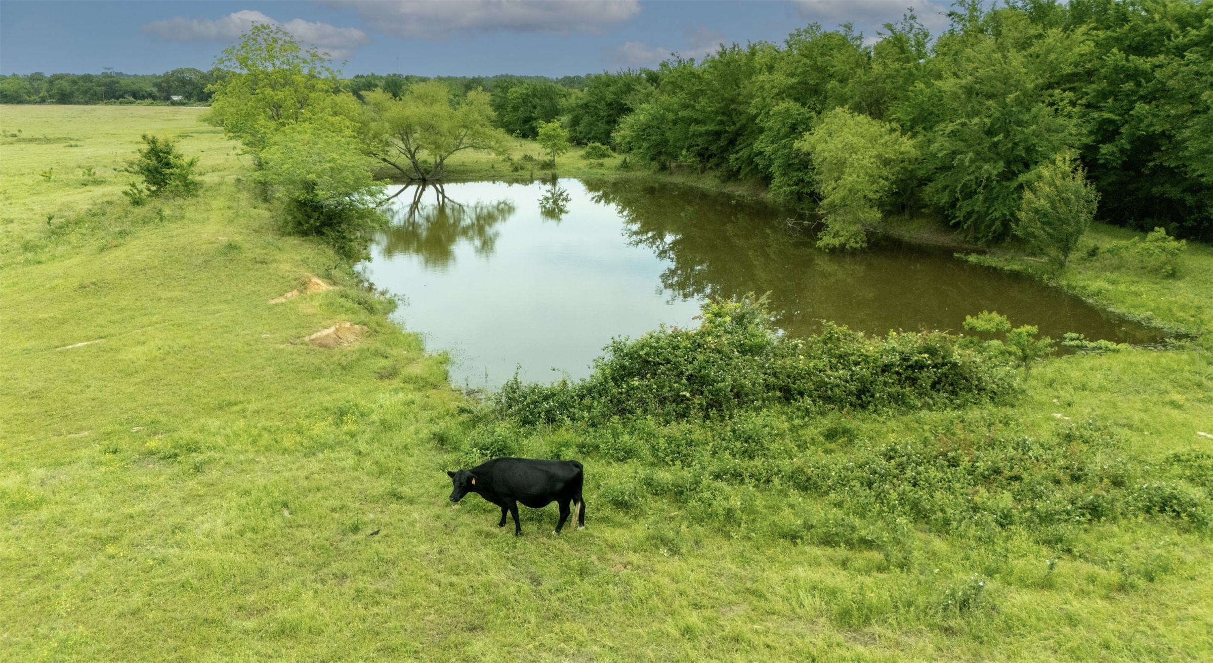 Tbd County Road 2307 Sulphur Springs TX 75482
