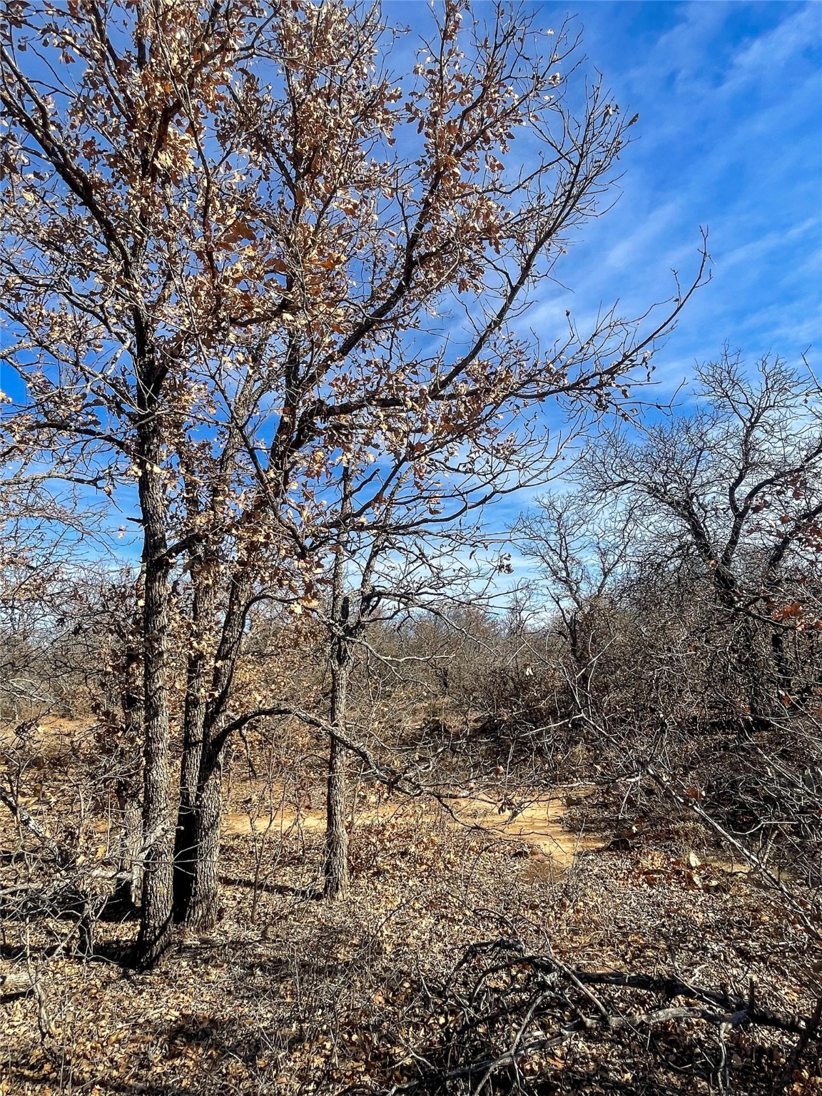 Tbd Fm 600 Abilene TX 79601