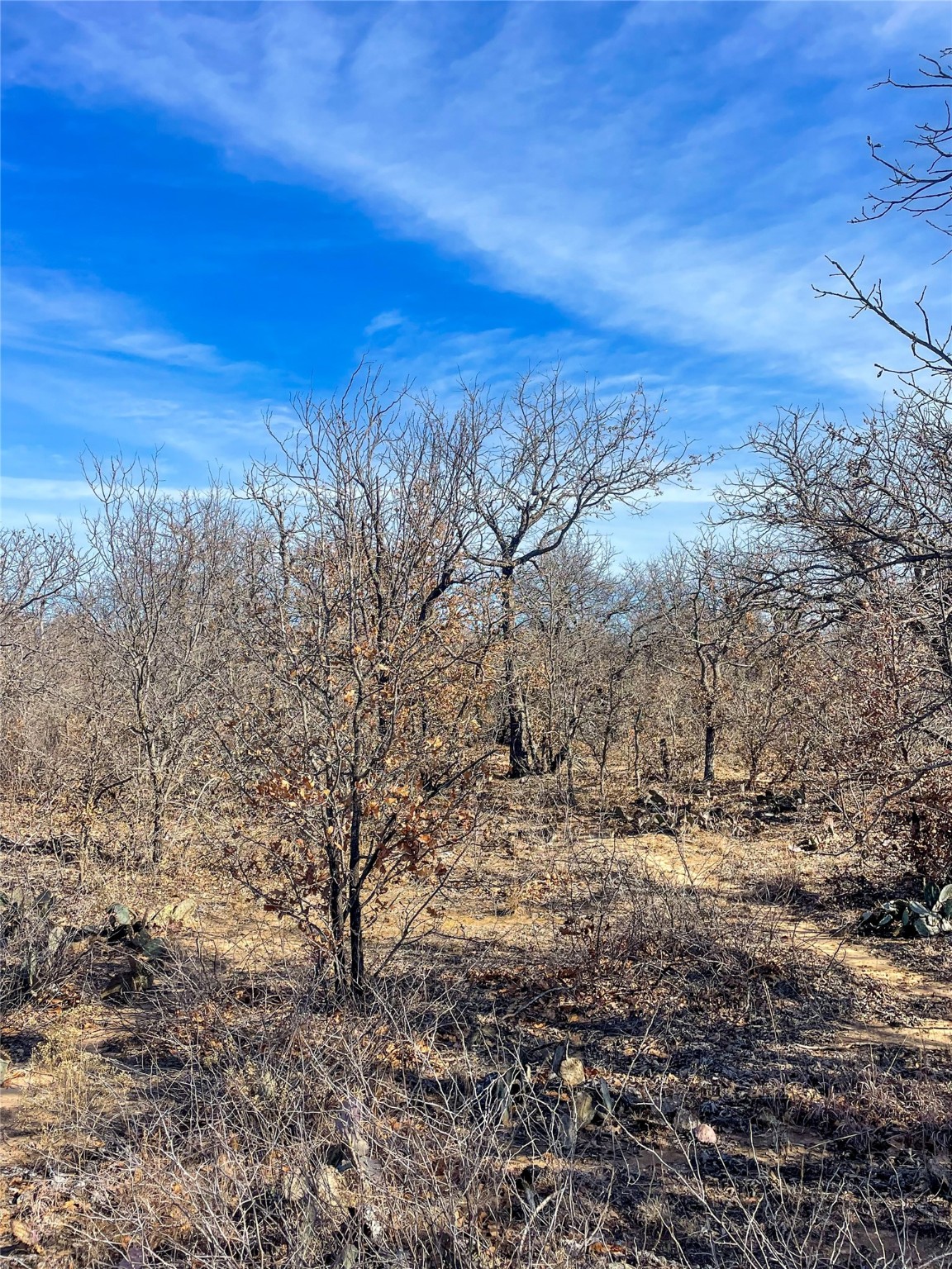 Tbd Fm 600 Abilene TX 79601