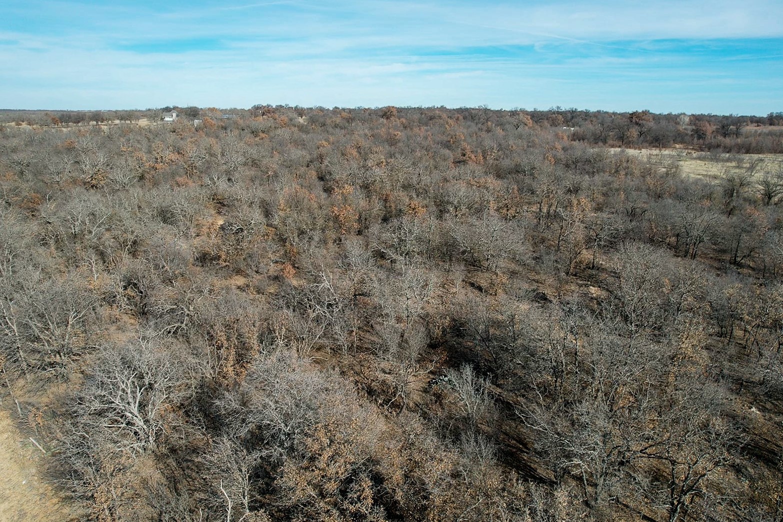Tbd Fm 600 Abilene TX 79601