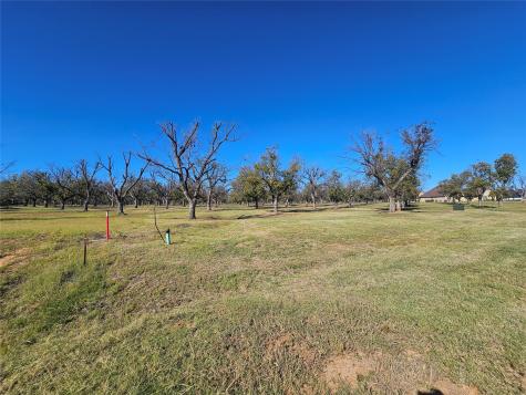 8313 W Landings Road Granbury TX 76049