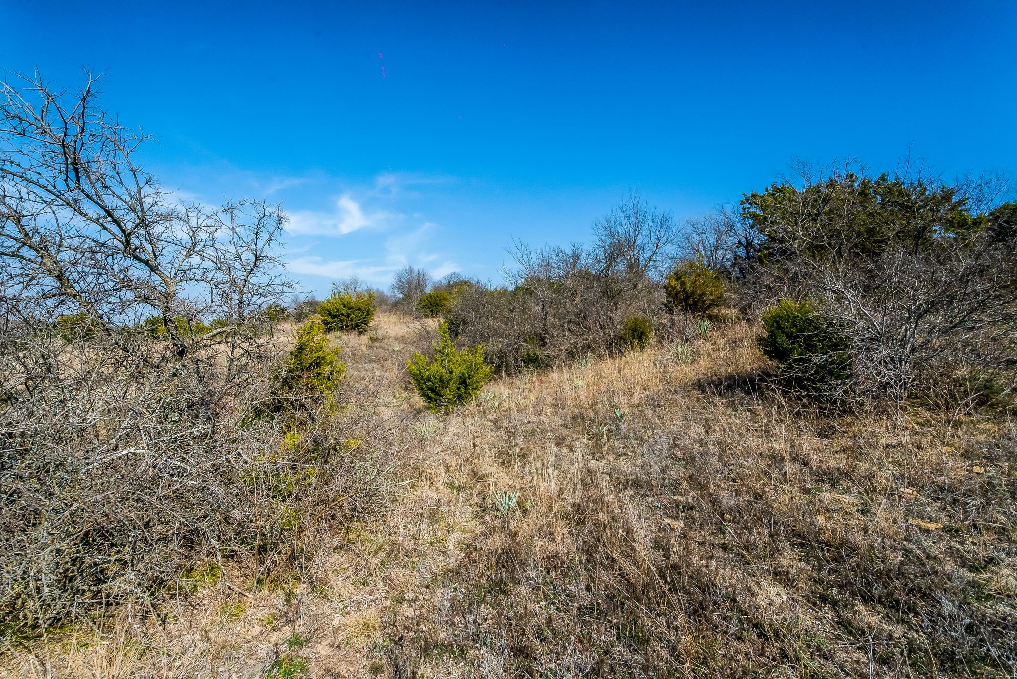 E 67 Acres Tbd Upper Denton Road Weatherford TX 76085
