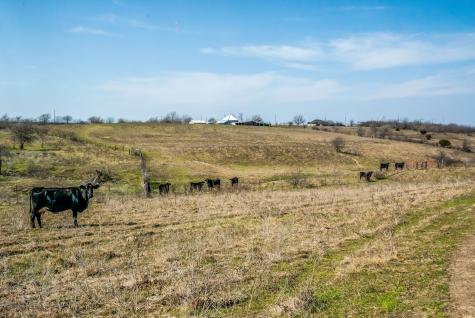 E 67 Acres Tbd Upper Denton Road Weatherford TX 76085