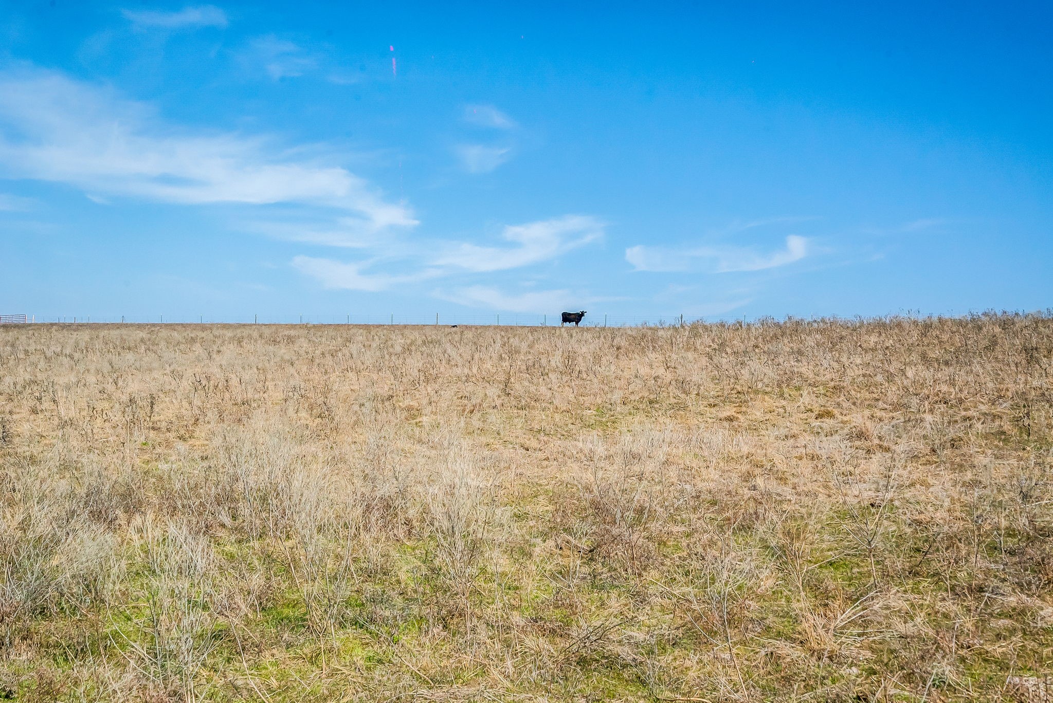E 67 Acres Tbd Upper Denton Road Weatherford TX 76085