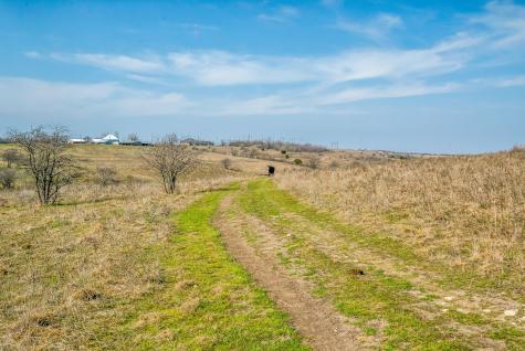 E 67 Acres Tbd Upper Denton Road Weatherford TX 76085